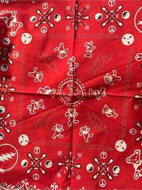Grateful Dead Y2K Red Paisley Bandana 19x19